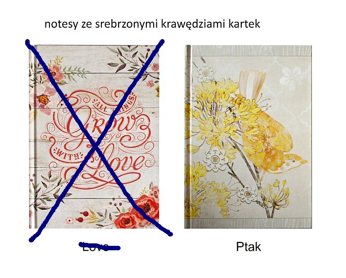 notesy ze srebrzonymi kartkami